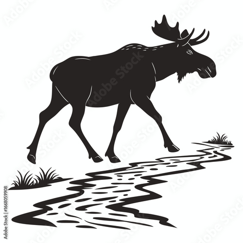Moose walking in shallow stream silhouette