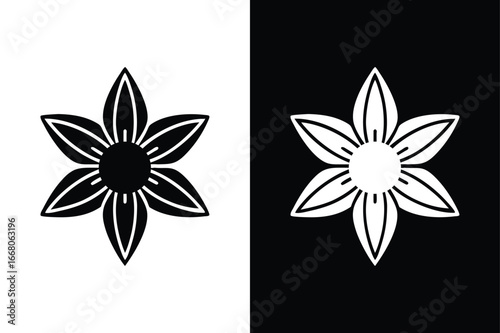 Star Anise Spice Collection Dried Silhouette Icon Vector Illustration