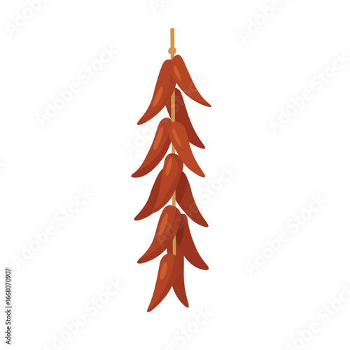 Hanging dried chili pepper ristra in soft flat vector style, isolated spice illustration.