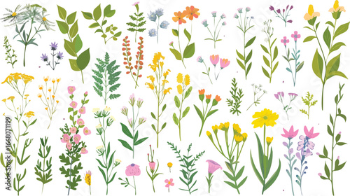 Natural botanical leaves set. Watercolor green foliage elements. Hand drawn floral herbs and plants for modern design.