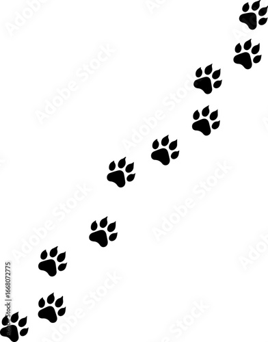 Paw Prints A Trail of Adventures, Exploration, and the Journey of a Wild Animal