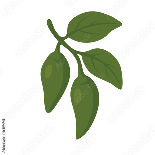 Two green chili peppers with leaves on branch, flat vector style, isolated spice illustration.