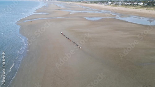 Evening horseback riding in a group on the beaches in Normandy, horses with their riders 4K drone shot