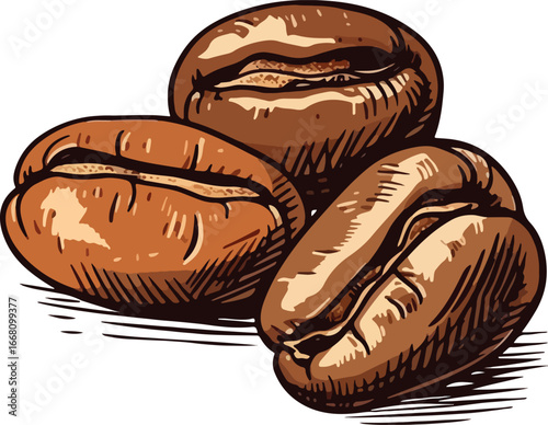 Coffee Beans Icon – Brown Roasted Coffee Illustration