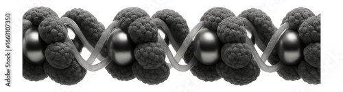 30-nanometer chromatin fiber with closely packed nucleosome arrays