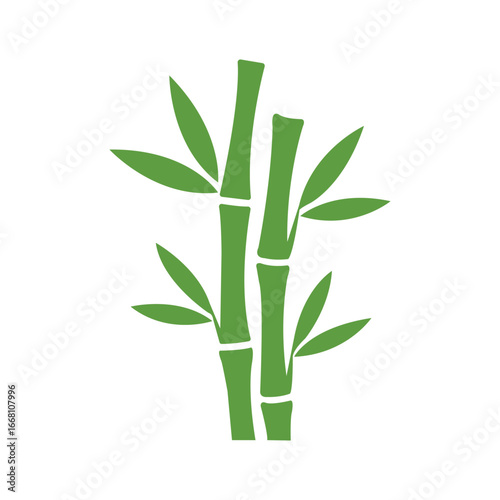 Two green bamboo stalks show simple elegance against a clean white background