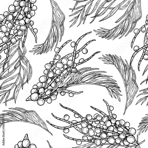 Acai berries on branches tropical palm leaves hand drawn black white vector repeat background. Monochrome jungle foliage ripe fruits seamless pattern for packaging, health product labels, textiles.