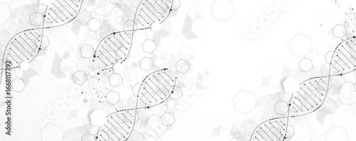 Abstract hexagon futuristic background for design works.
Science template, wallpaper or banner with a DNA molecules.