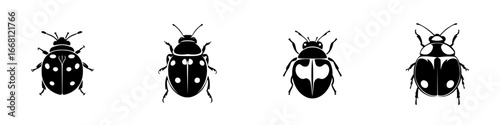 Different types of ladybugs displayed in black and white designs showcasing their unique patterns and shapes