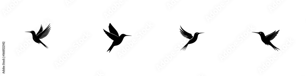 Obraz premium Hummingbirds in flight showcasing unique wing patterns against a simple backdrop