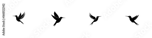 Hummingbirds in flight showcasing unique wing patterns against a simple backdrop
