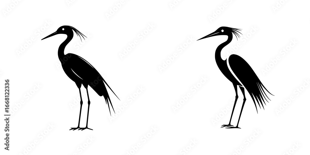 Fototapeta premium Elegant silhouettes of herons standing together in a natural setting at dawn