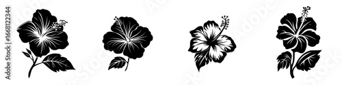 Black and white illustrations of hibiscus flowers showcasing various designs and details