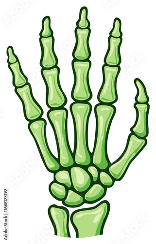 Vibrant green cartoon style skeletal hand bones illustration for Halloween and medical anatomy