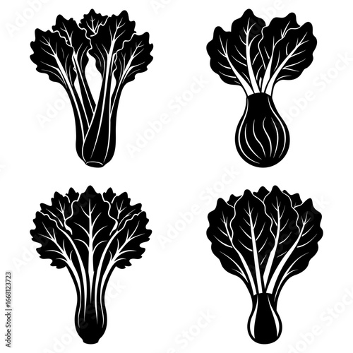 Four black and white illustrations of leafy vegetables with detailed leaf vein patterns and varying stem shapes