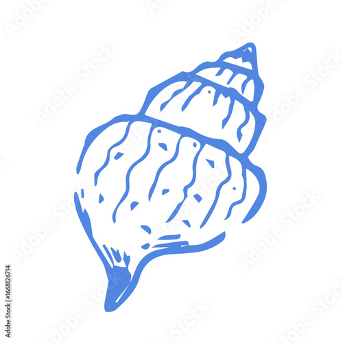 A hand-drawn illustration of a shell in blue. the clean, artistic style makes it ideal for logos, icons, and illustrations in projects related to the ocean or marine life.