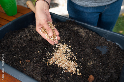 Hand adding organic fertilizer or granular nutrients - vermiculite - to rich garden soil in a planting tray outdoors, close up garden preparation activity