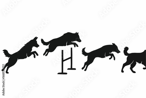 silhouette of horse