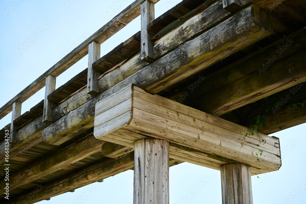 Fototapeta premium 蓬莱橋