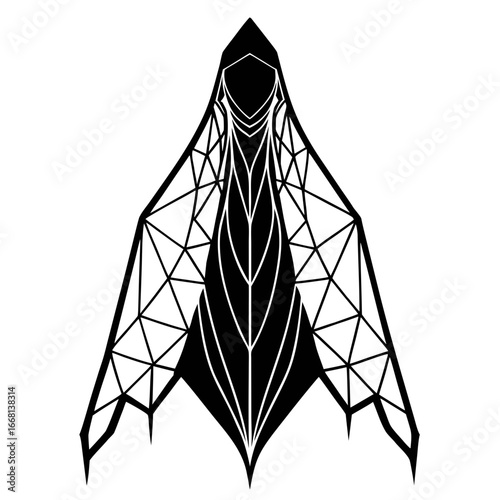 Geometric Veil Vector