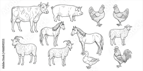 Black and white line art illustrations of farm animals including cows, pigs, horses, and fowl livestock