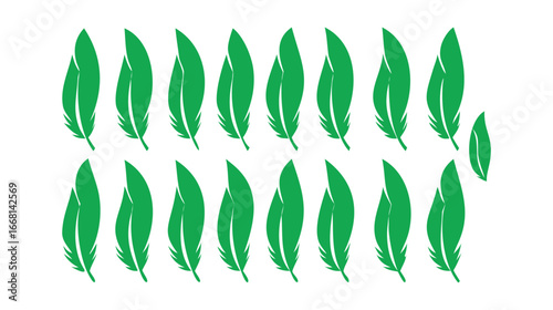 Collection of vibrant green leaves arranged in two neat rows showcasing nature's beauty and organic form for design projects