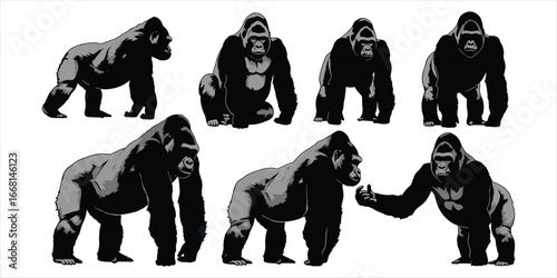 Set of Black and Gray Gorilla Silhouettes in Various Poses on White primate monkey
