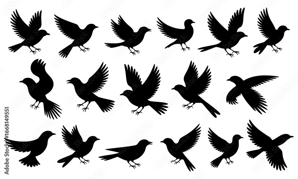 Fototapeta premium Set of silhouettes of birds isolated on white background. Vector illustration.