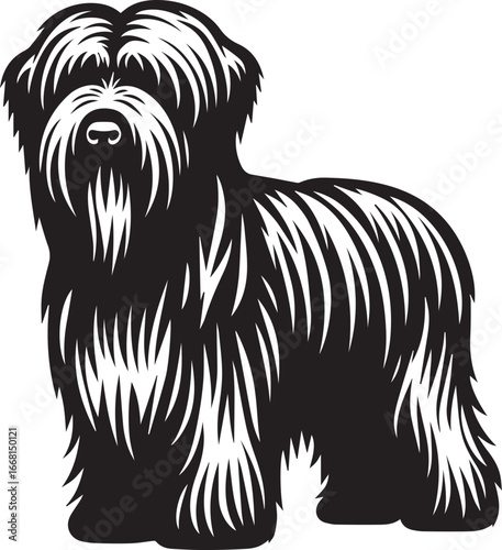 Briard Dog vector in black and white