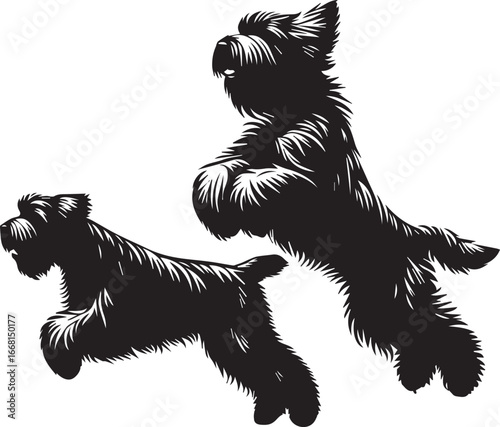 Briard Dog vector in black and white