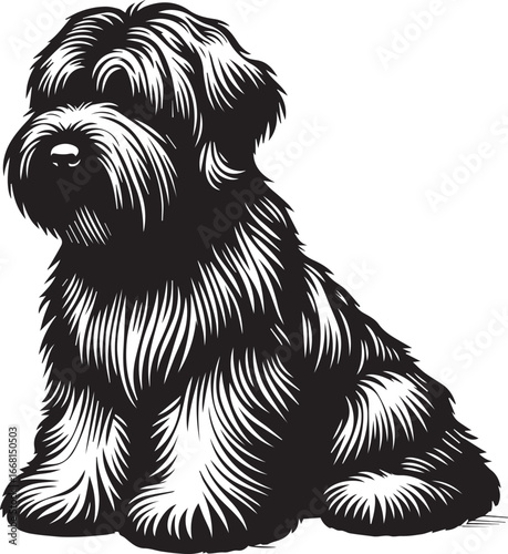 Briard Dog vector in black and white