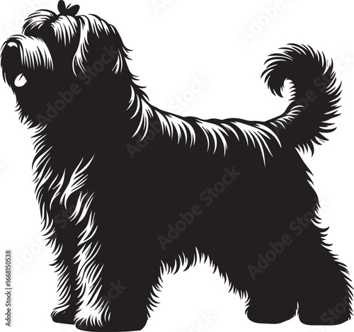 Briard Dog vector in black and white