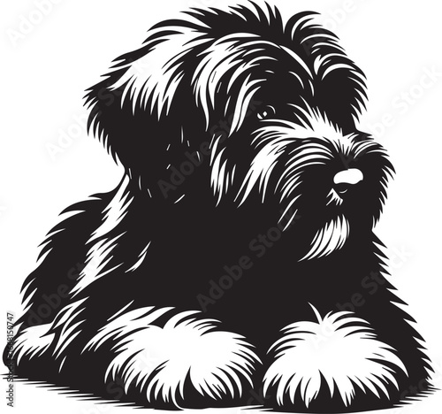 Briard Dog vector in black and white