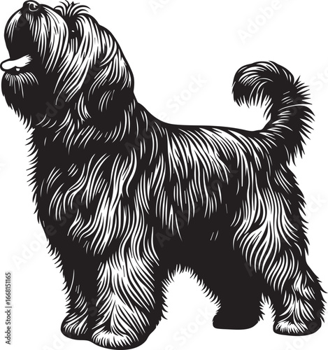 Briard Dog vector in black and white