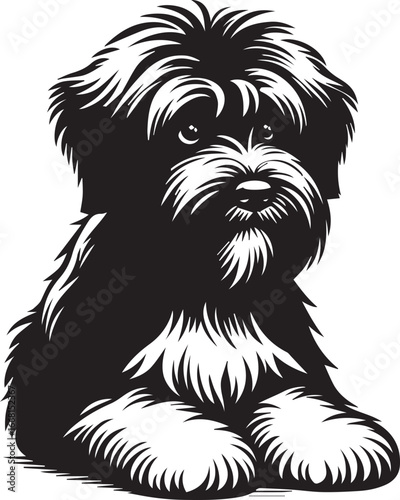 Briard Dog vector in black and white