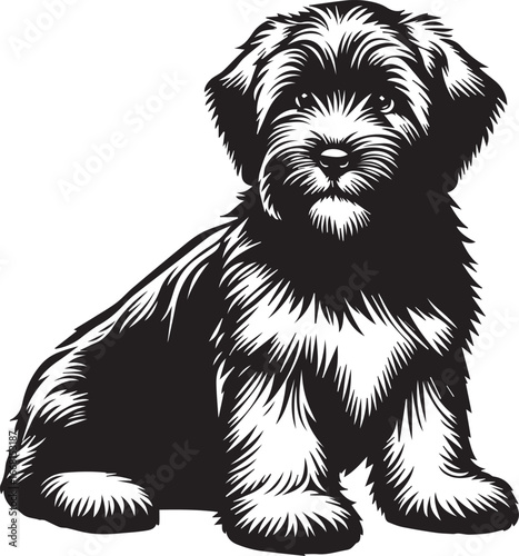 Briard Dog vector in black and white
