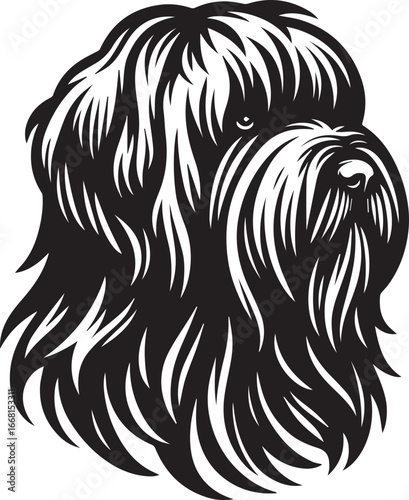 Briard Dog vector in black and white