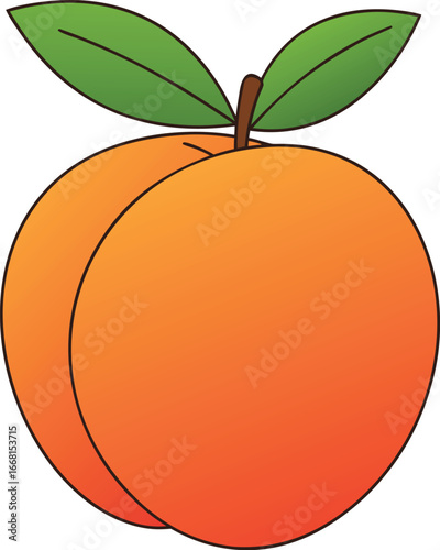 Vector illustration of an apple and orange fruits with leaves on white background
