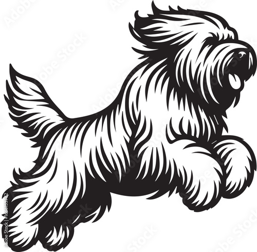 Briard Dog vector in black and white