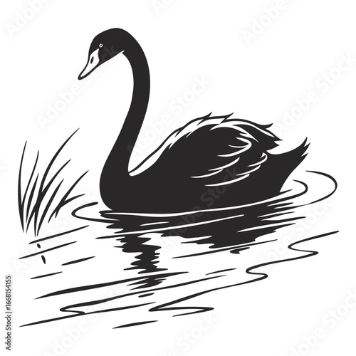 Swan gliding on frozen lake silhouette