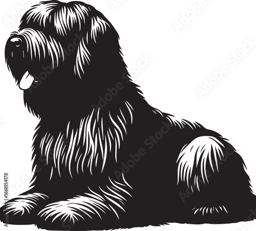 Briard Dog vector in black and white