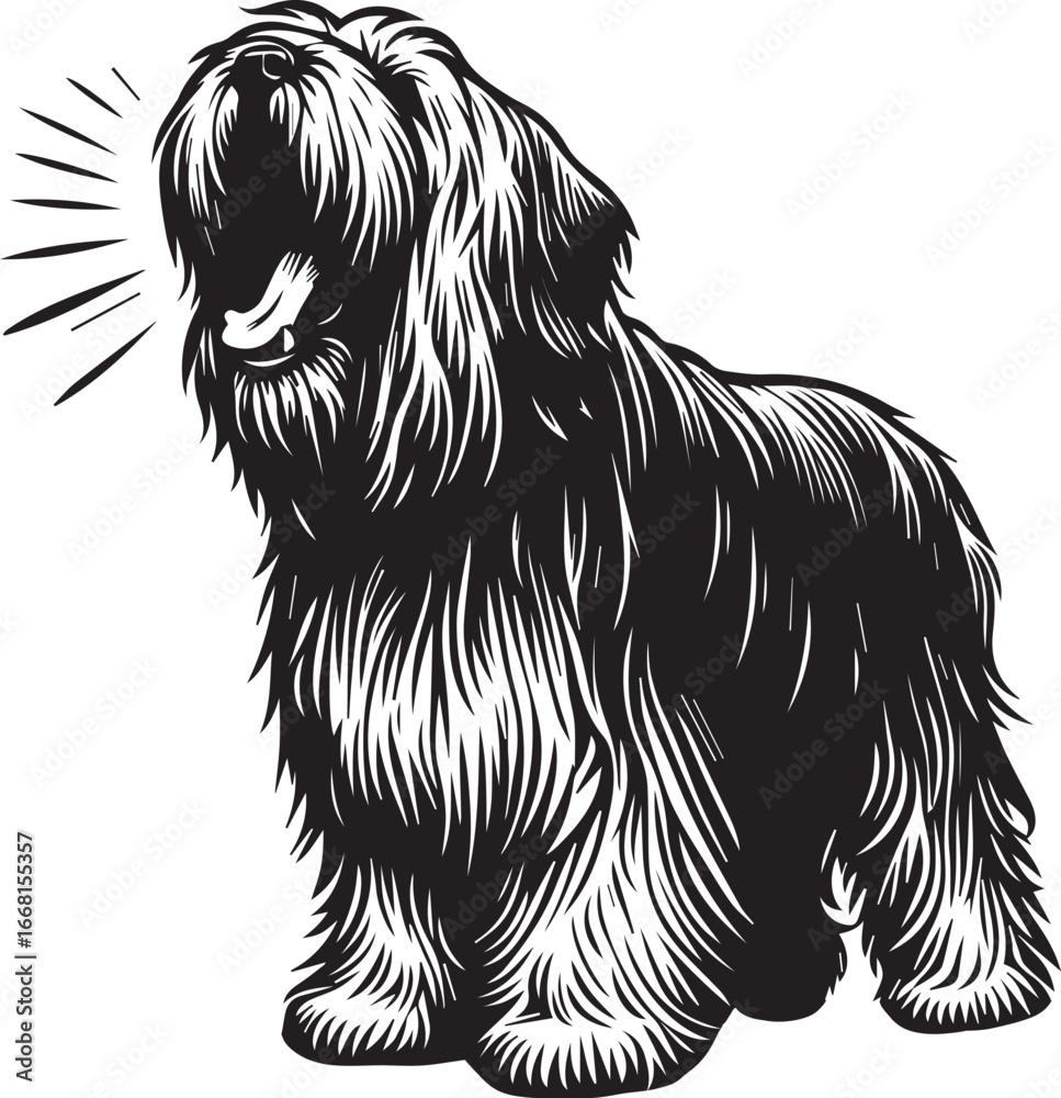 Obraz premium Briard Dog vector in black and white