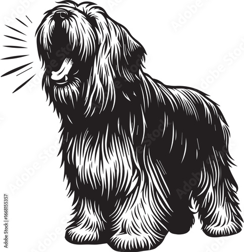 Briard Dog vector in black and white