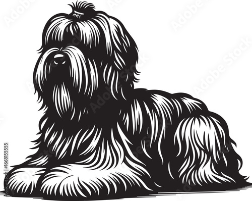 Briard Dog vector in black and white
