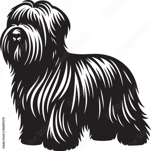 Briard Dog vector in black and white