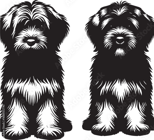 Briard Dog vector in black and white