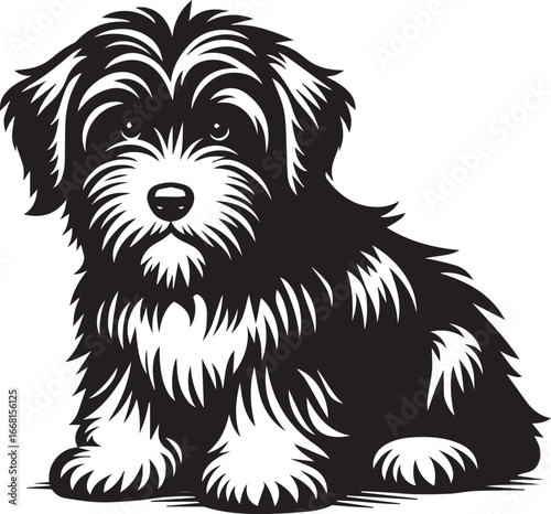 Briard Dog vector in black and white