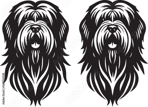Briard Dog vector in black and white