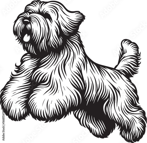 Briard Dog vector in black and white