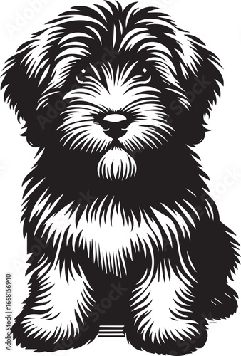 Briard Dog vector in black and white